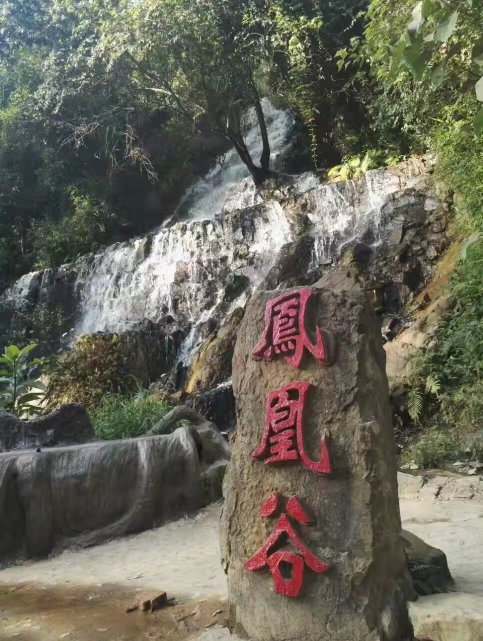 南宁凤凰谷在哪里（凤凰谷风景区旅游攻略分享）