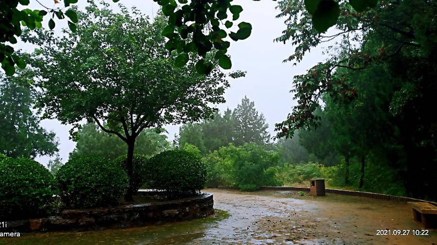 雨中空山静，但闻鸟语声，枫叶渐红