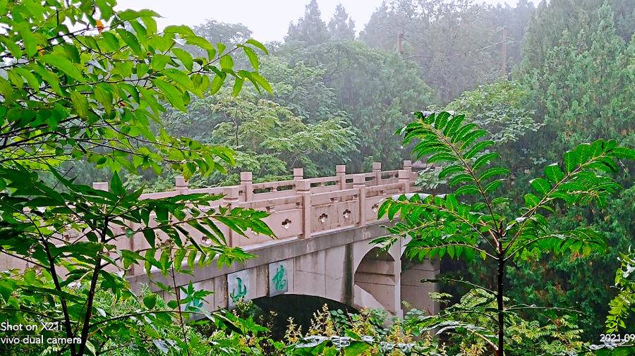 雨中空山静，但闻鸟语声，枫叶渐红