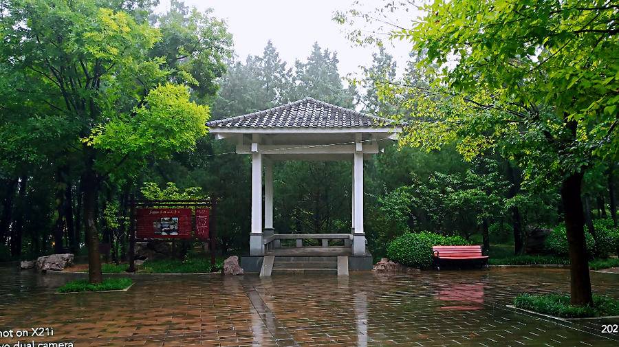 雨中空山静，但闻鸟语声，枫叶渐红