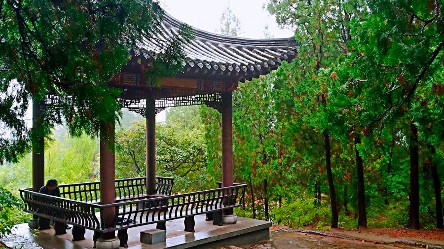 雨中空山静，但闻鸟语声，枫叶渐红