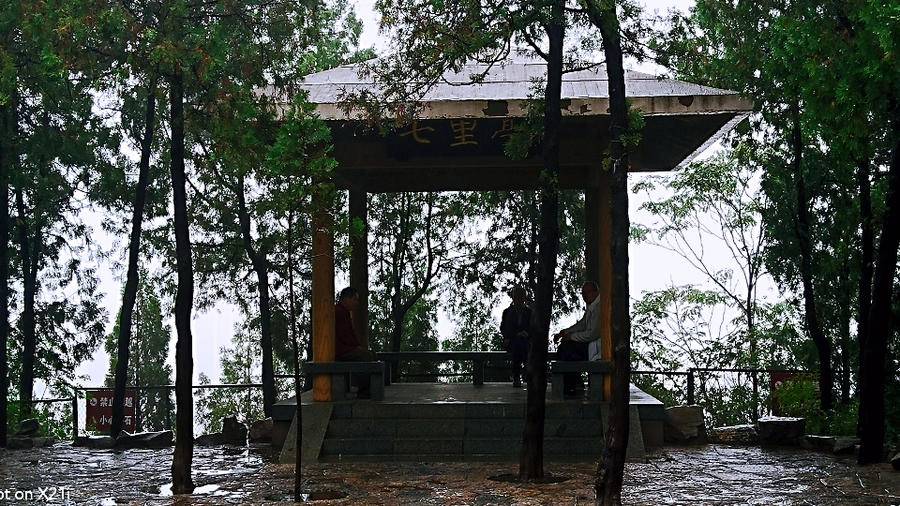 雨中空山静，但闻鸟语声，枫叶渐红