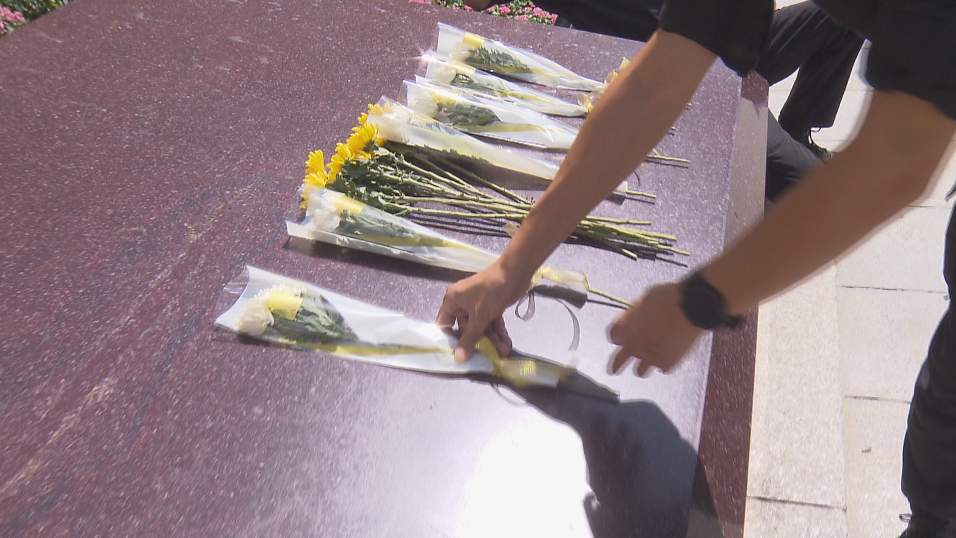 烈士纪念日丨今天鲜花献给英烈 永远铭记他们