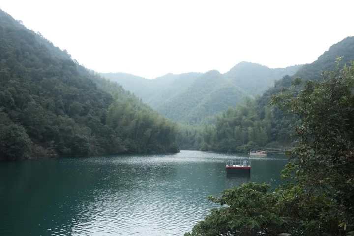 小时新场景丨没去过杭州青山村,你就OUT啦!这里像是“乌托邦”
