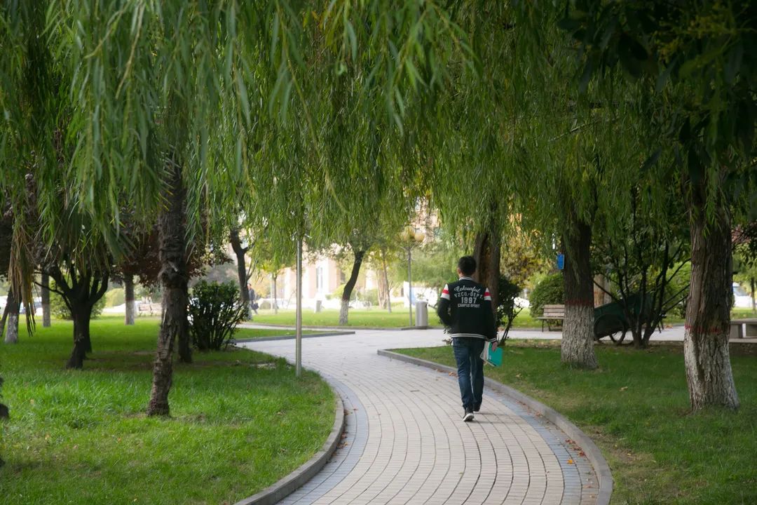 或闲庭漫步，或一卷书香！秋日下的河南学子，成了那一抹秋色……