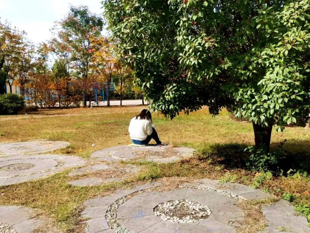 或闲庭漫步，或一卷书香！秋日下的河南学子，成了那一抹秋色……