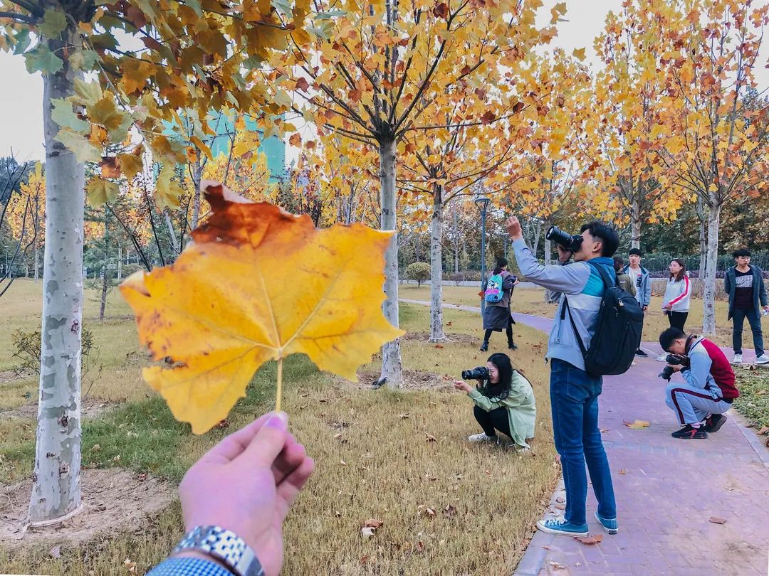 或闲庭漫步，或一卷书香！秋日下的河南学子，成了那一抹秋色……