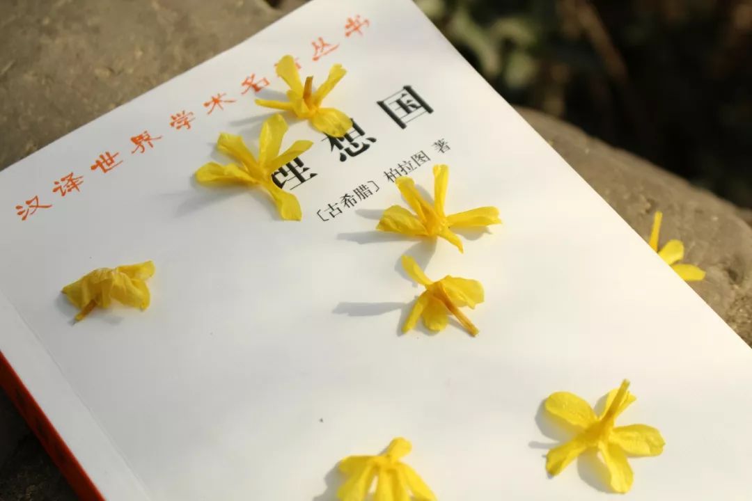 26位诺奖得主的41本汉译名著