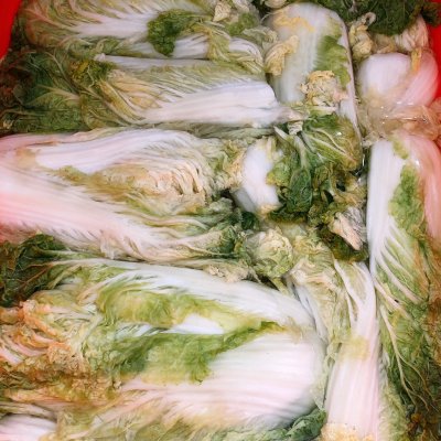 韓國泡菜的制作方法,韓國泡菜的制作方法 家用大白菜