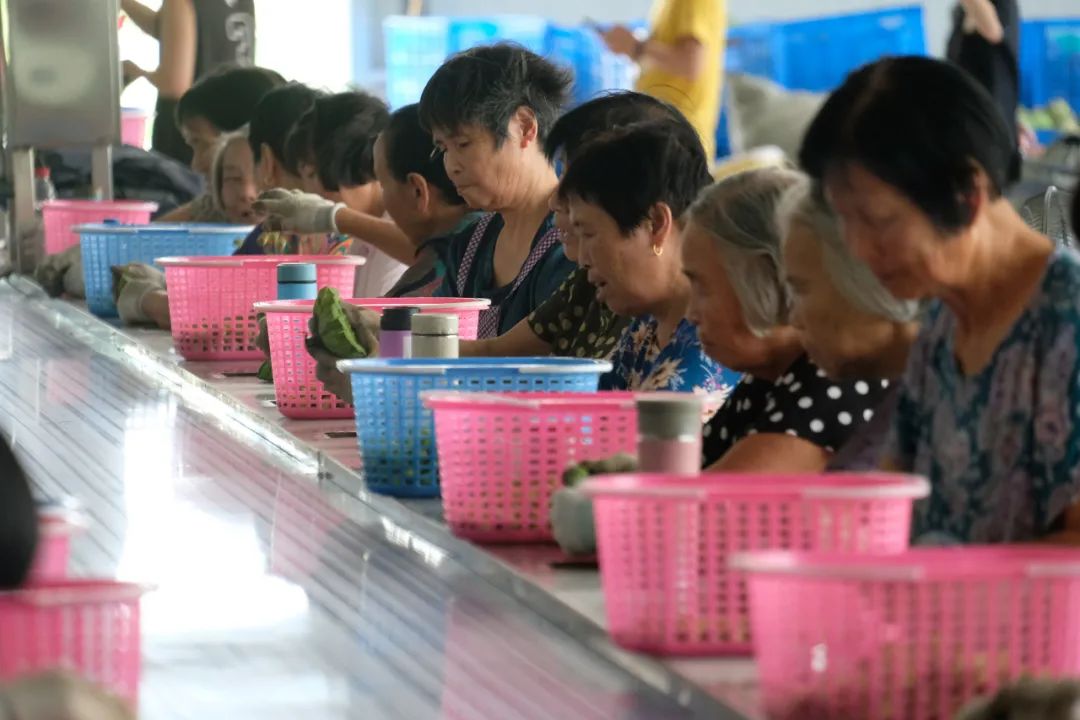 杭州海归小伙辞掉银行工作，回乡带着百位奶奶创业！这一幕，太绝了