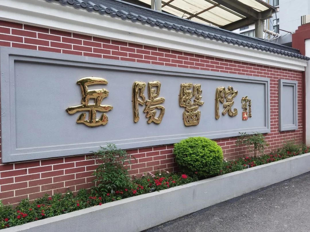 「世界传统医药日科普」当更年期遇见失眠症，膏方助您美梦成真