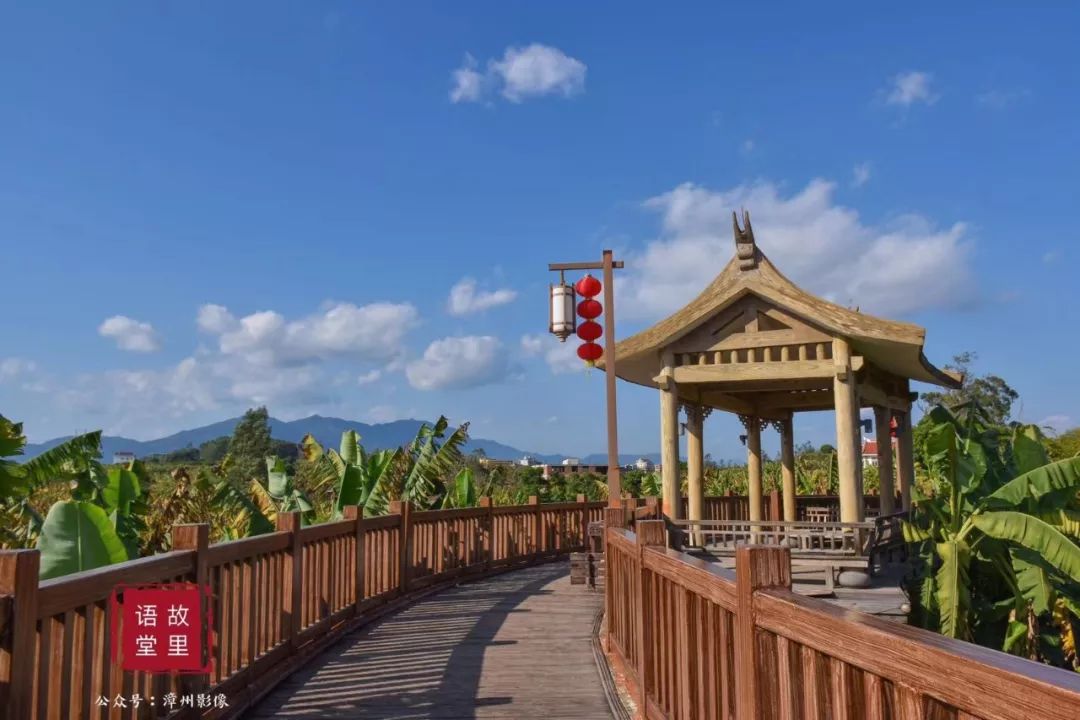 打卡12条漳州乡村精品旅游线路，体验一场秋天的乡村游......