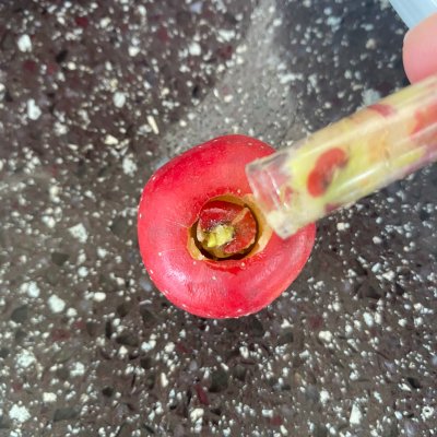 山楂罐頭的做法,