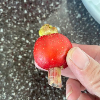 山楂罐頭的做法,
