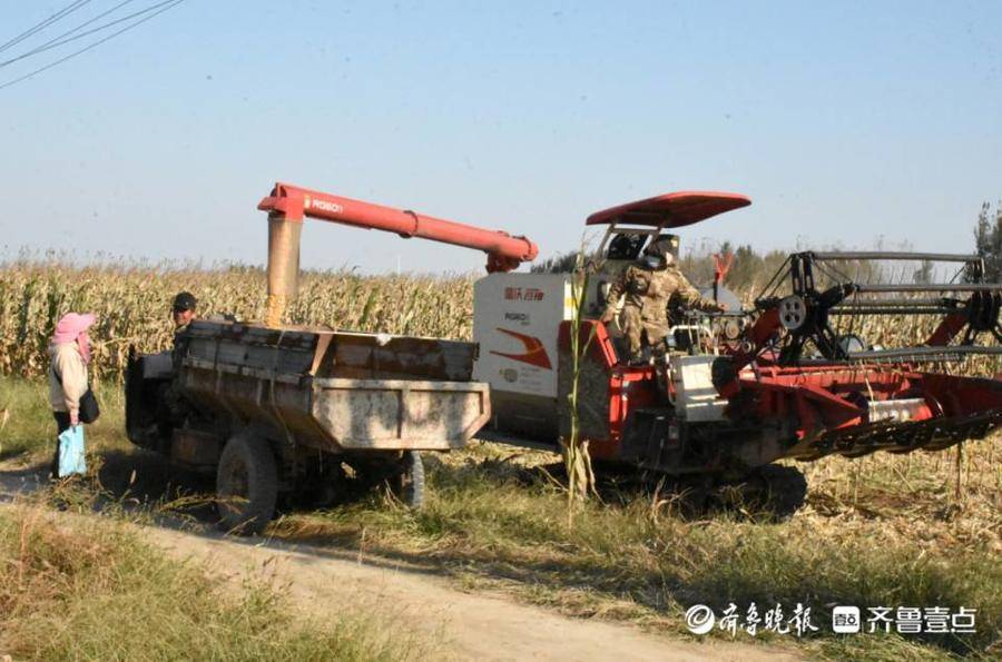 惠民縣李莊鎮(zhèn)引進新型收割機 助力秋收保衛(wèi)戰(zhàn)