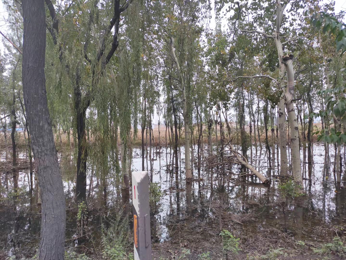 一路飙涨！山西暴雨后煤炭价格创新高，贸易商：不敢囤货，卖了就回老家