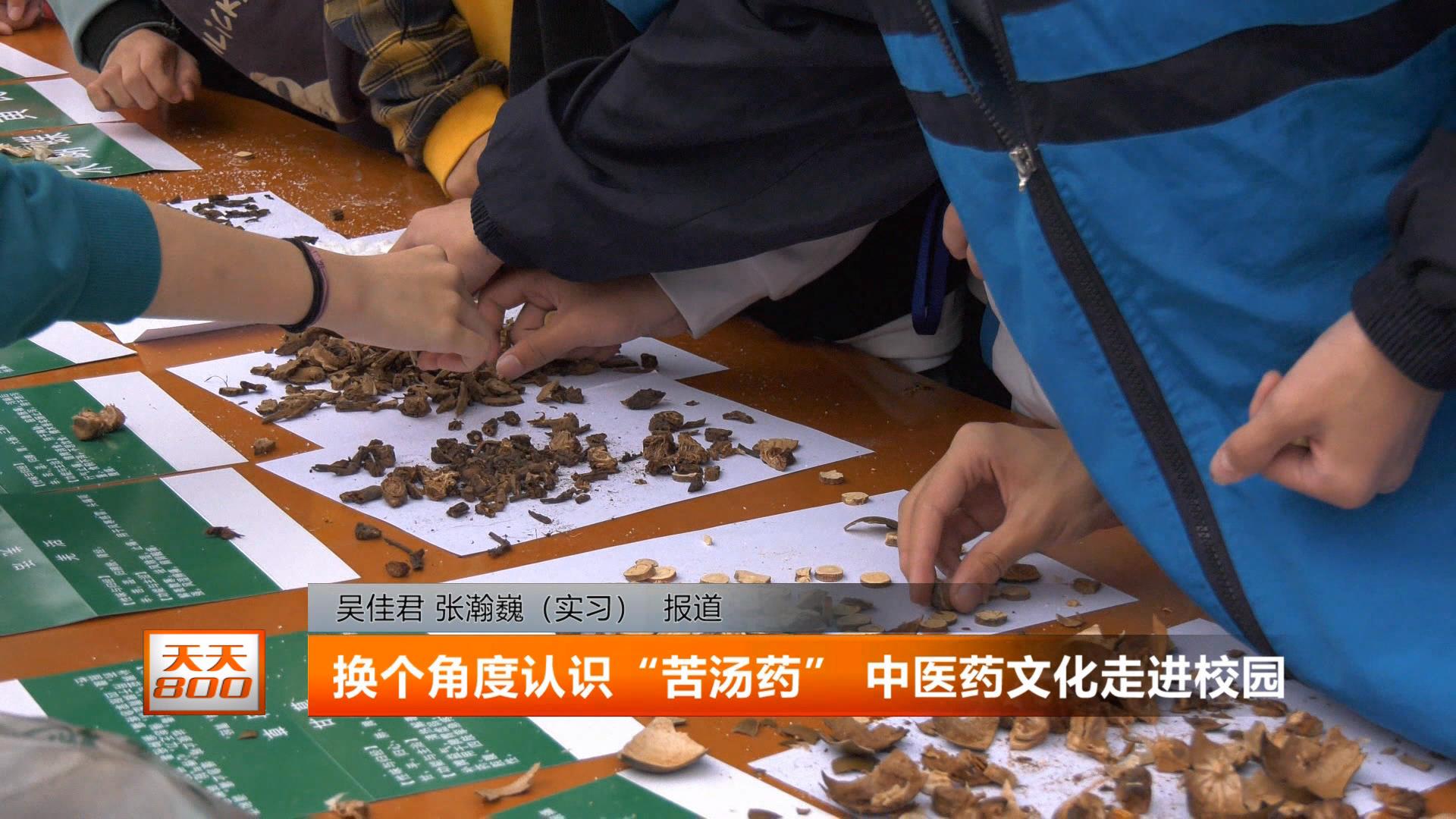 换个角度认识“苦汤药”中医药文化走进校园