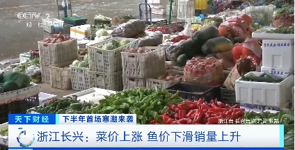 “菜比肉贵”？蔬菜价格连连攀升，有的甚至翻番！原因几何→
