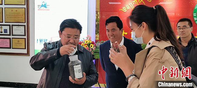 甘肃甘南：羊粪蛋蛋“变废为宝”解决牛羊粪堆积难题