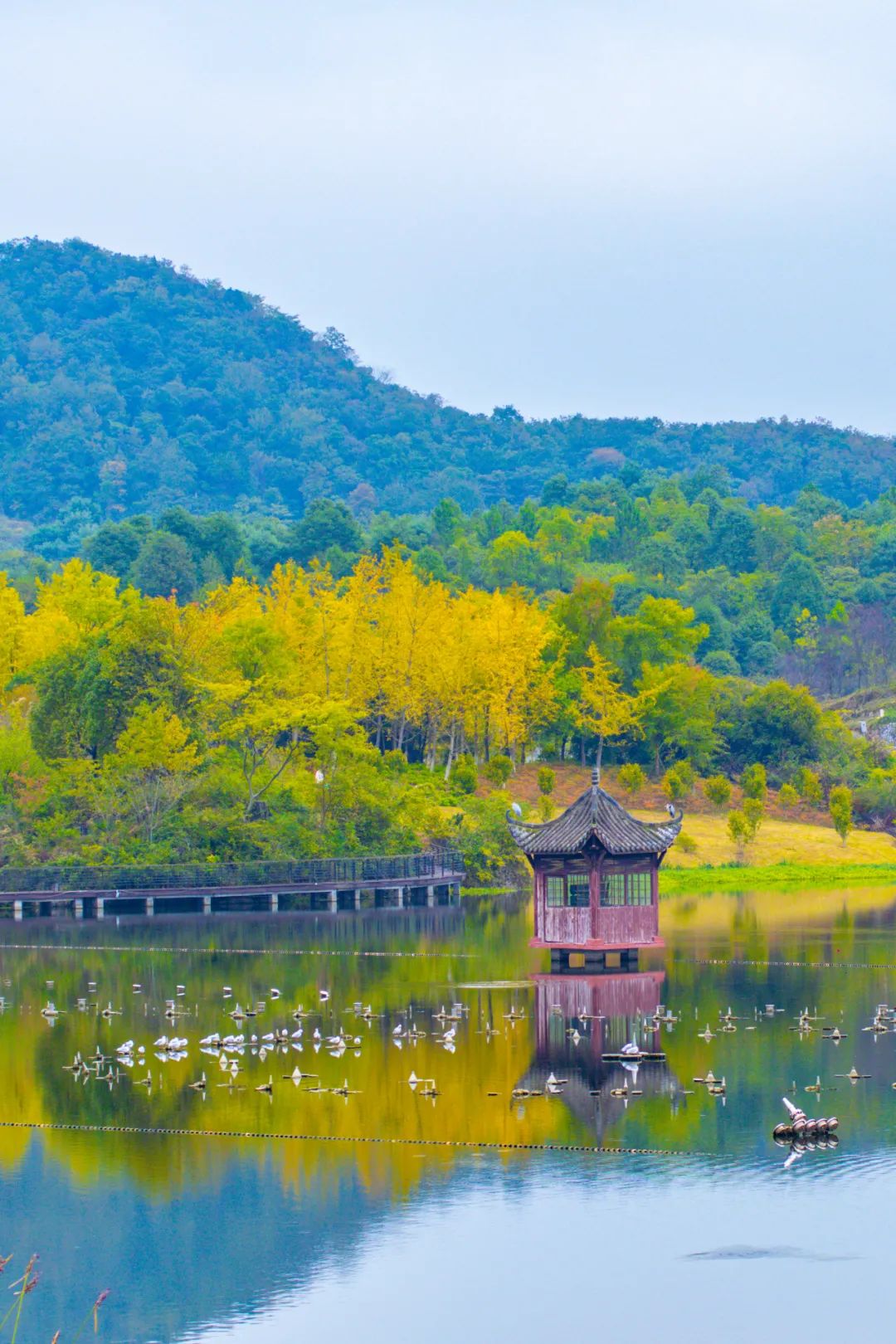 播州湿地公园让你离这个秋天近一点