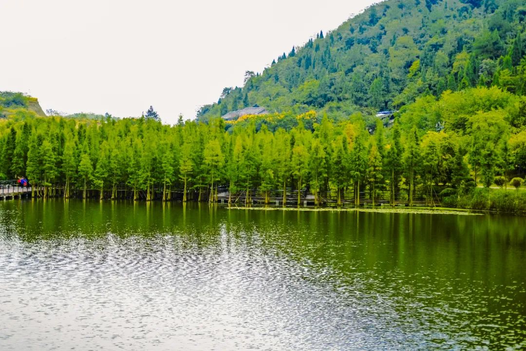 播州湿地公园让你离这个秋天近一点