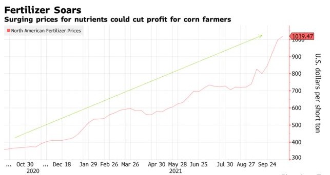 化肥价格飙升或带动玉米利润下降约25%，农户转种大豆推高全球库存