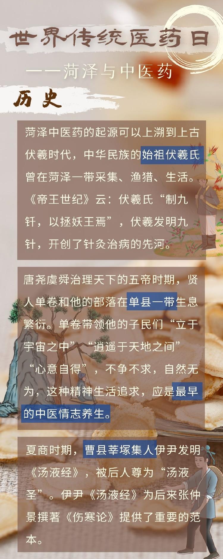 世界传统医药日 | 细数菏泽与中医药的缘分