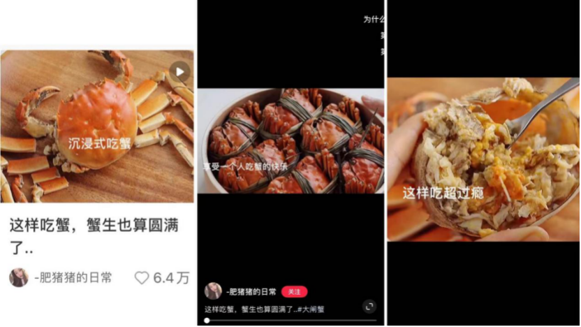 小红书爆文拆解：爆文规则改了，都变了天「10月」