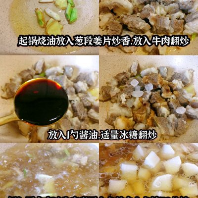 蘿卜燉牛肉的做法,蘿卜燉牛肉的做法最正宗的做法