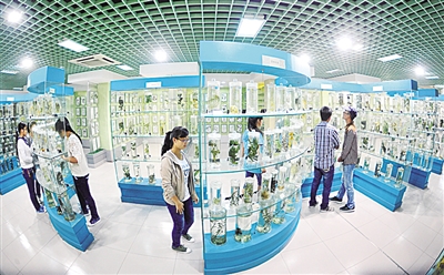 守正传承增福祉 创新发展惠民生——南阳市中医药事业发展综述