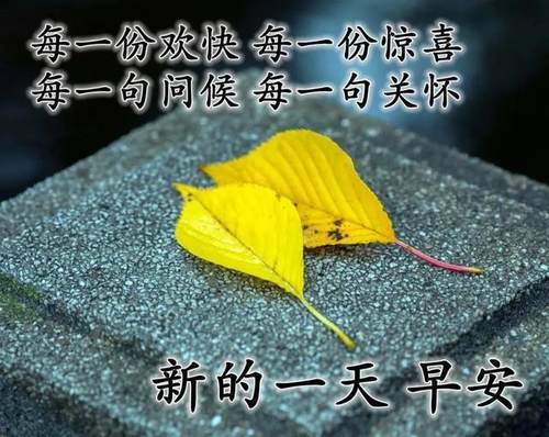 清晨美好正能量励志语录，清新带字图片安康问候祝福图片大全