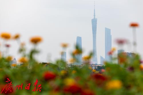 秋日海珠湖风景独好