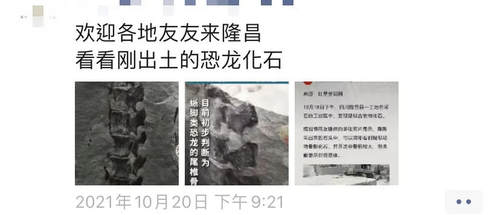 官宣！内江这里发现距今约1.6亿年恐龙化石