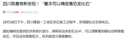 官宣！内江这里发现距今约1.6亿年恐龙化石