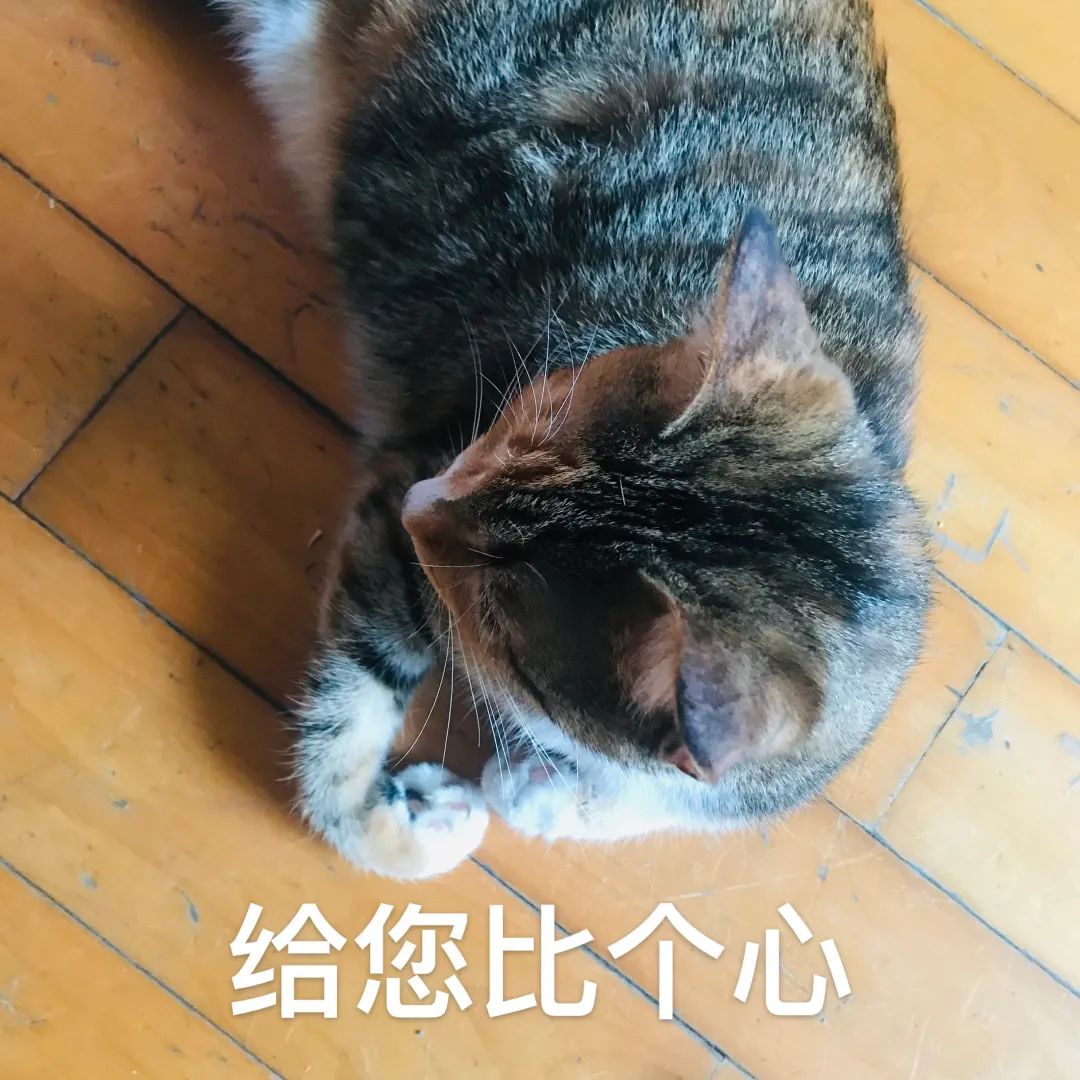 今天上午，刚刚宣布！沈阳买房的注意