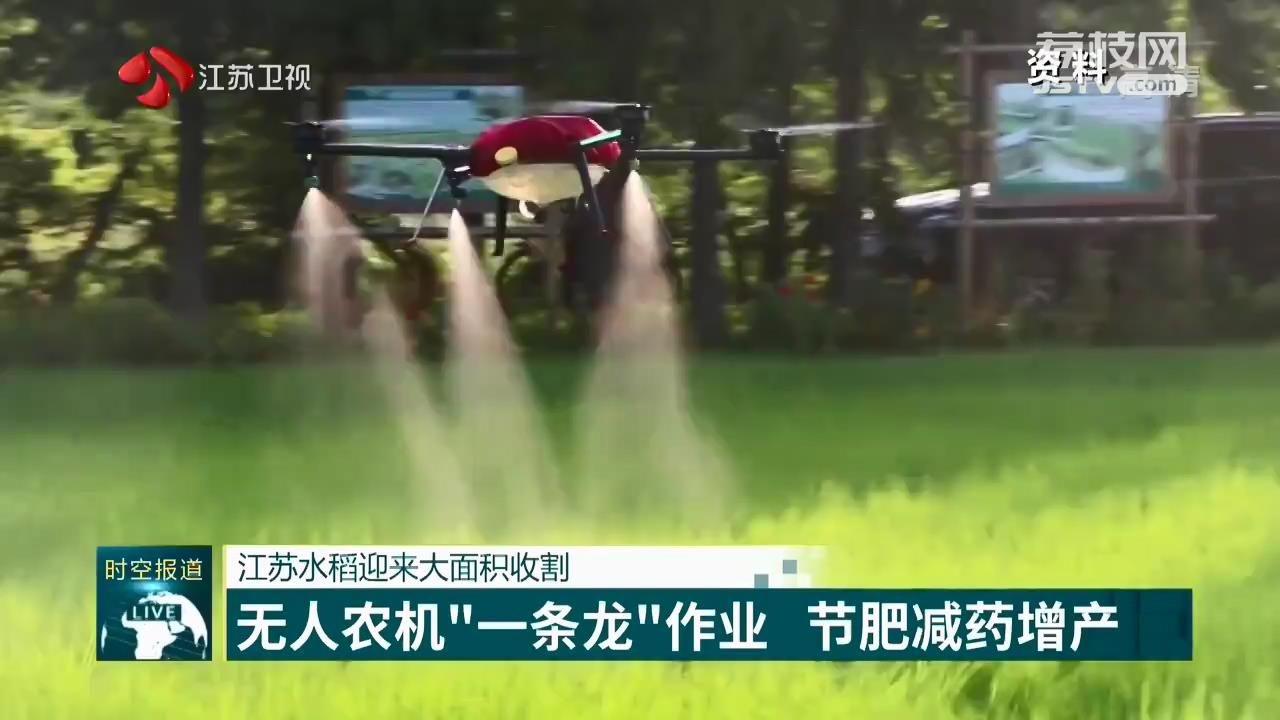 江苏水稻迎来大面积收割 无人农机“一条龙”作业 节肥减药增产