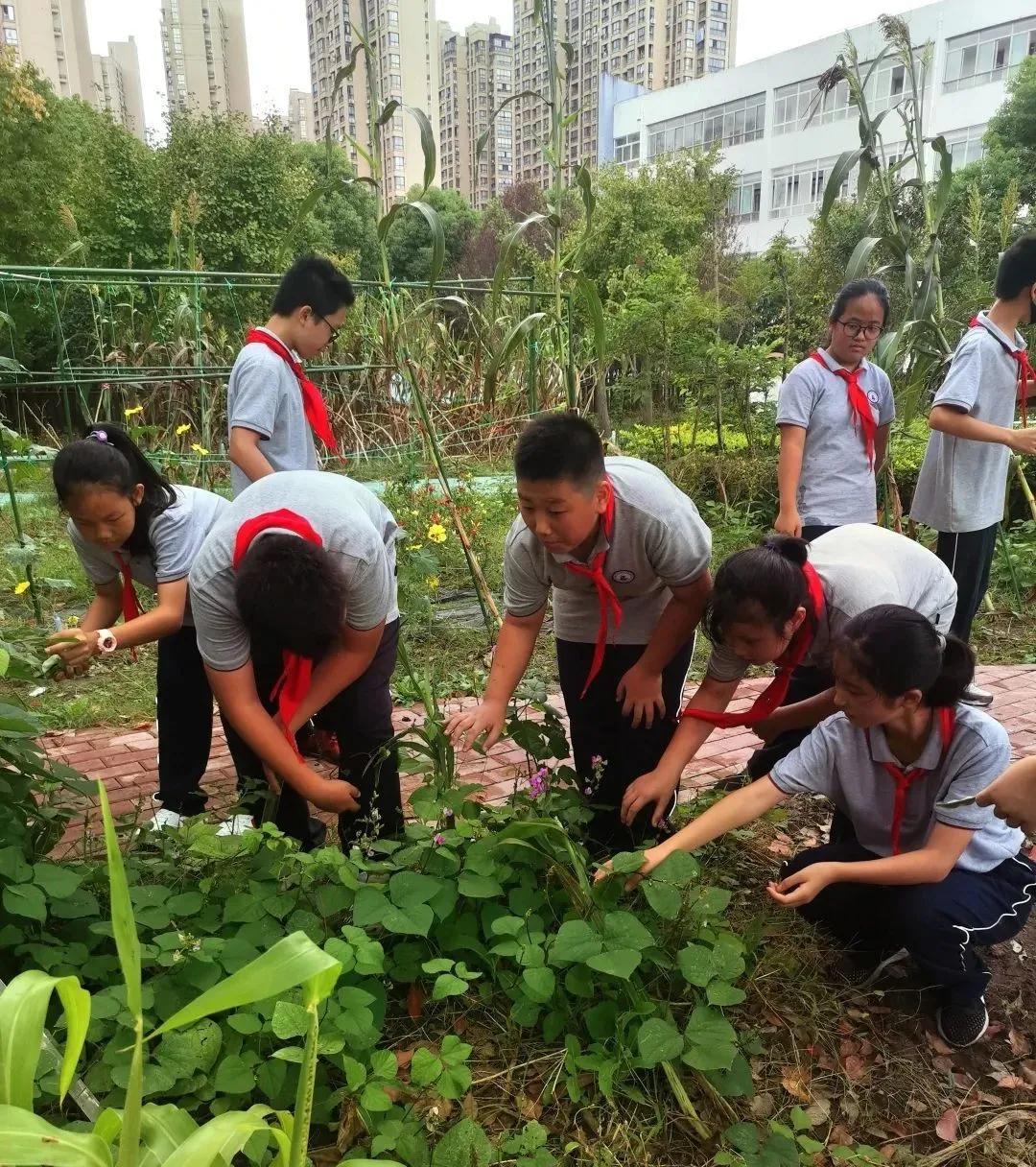 宝山区刘行新华实验学校打造课后服务新阵地(图2)