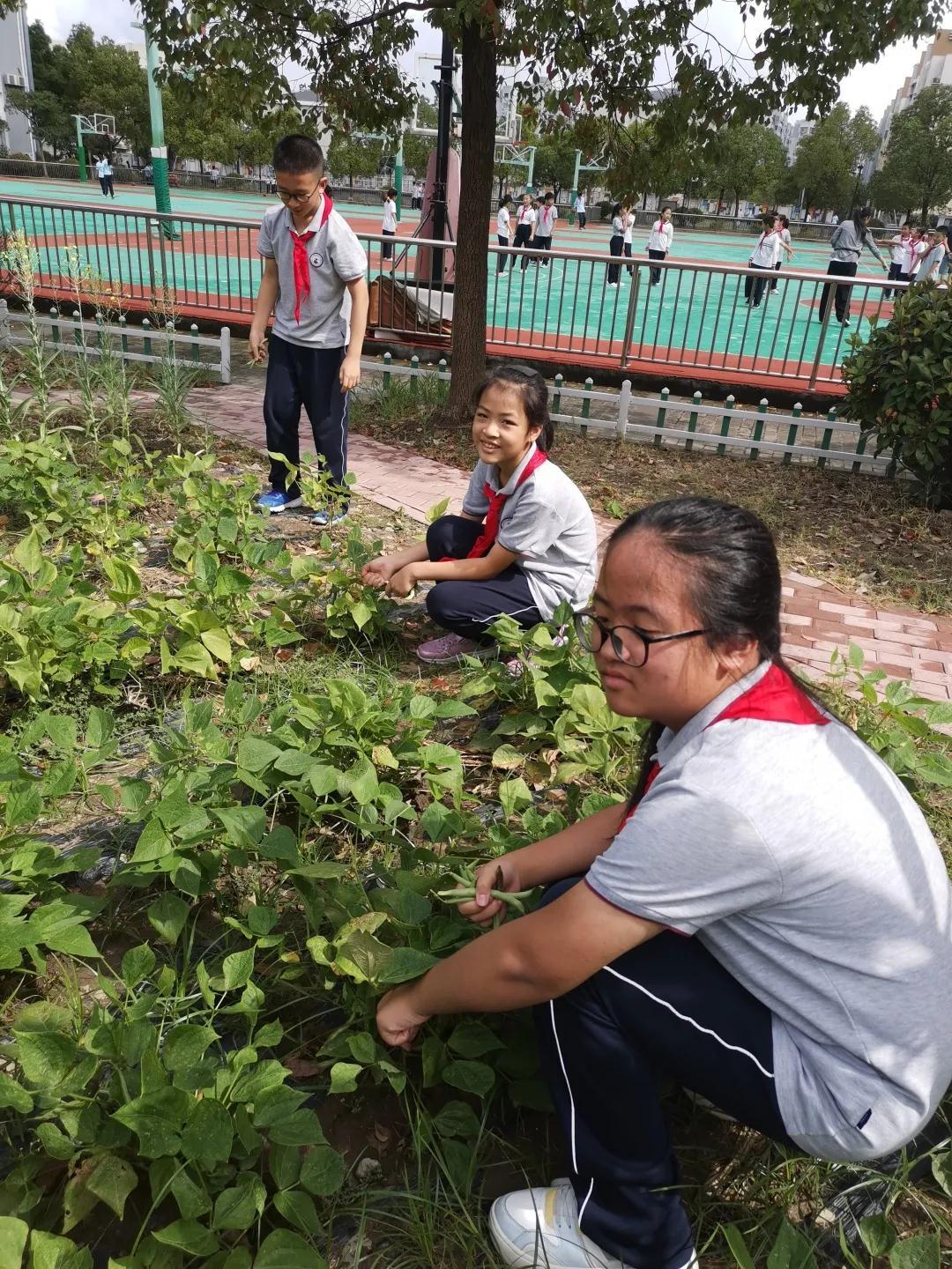 宝山区刘行新华实验学校打造课后服务新阵地(图3)