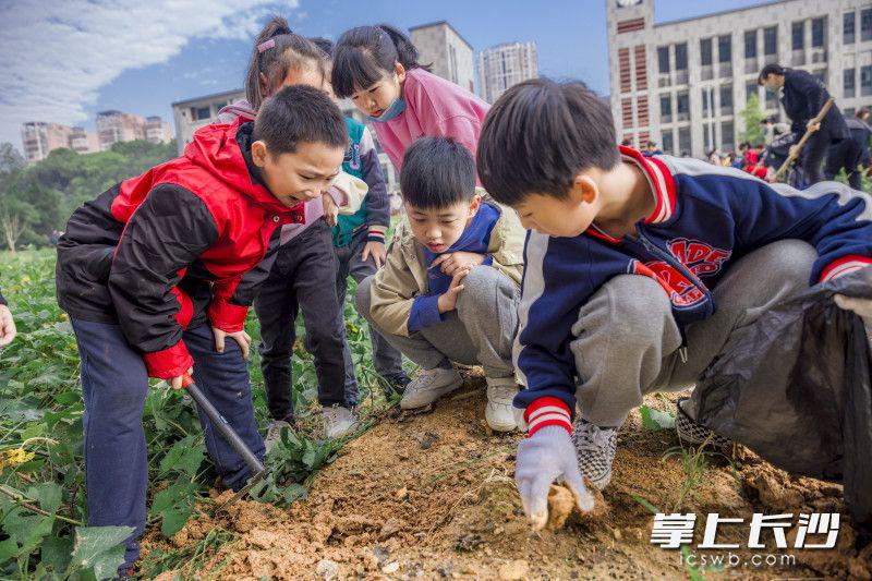 长沙市东郡第二小学“让每颗种子都发光”(图1)