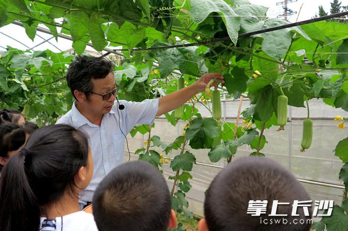 长沙市东郡第二小学“让每颗种子都发光”(图3)