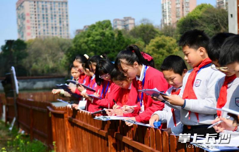 长沙市东郡第二小学“让每颗种子都发光”(图4)