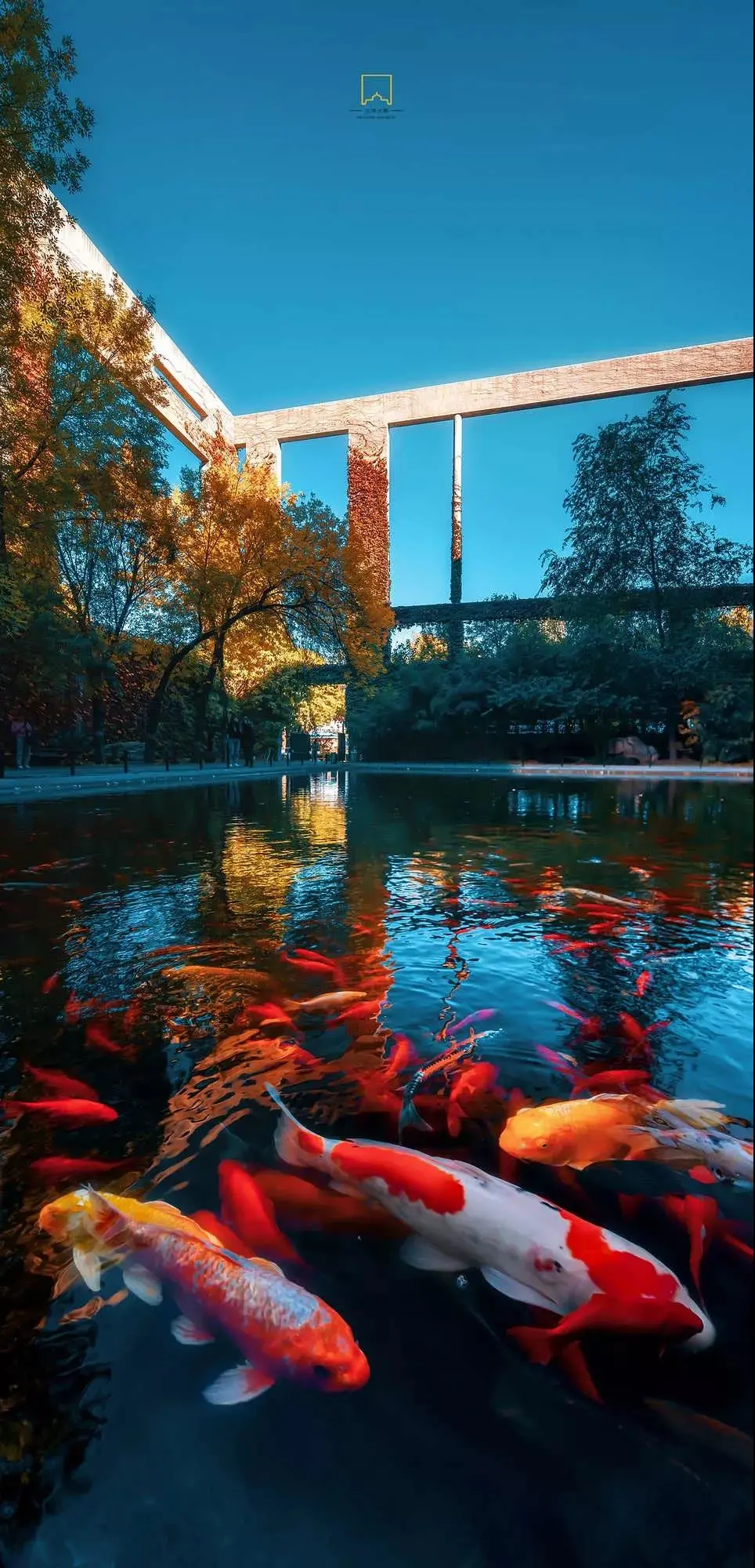 天津大学，125年，谢谢你