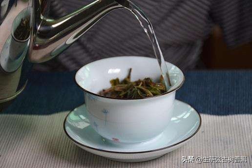普洱生茶怎么泡更好喝（学会普洱生茶冲泡技巧）