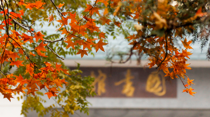 山东师范大学怎么样（山东）