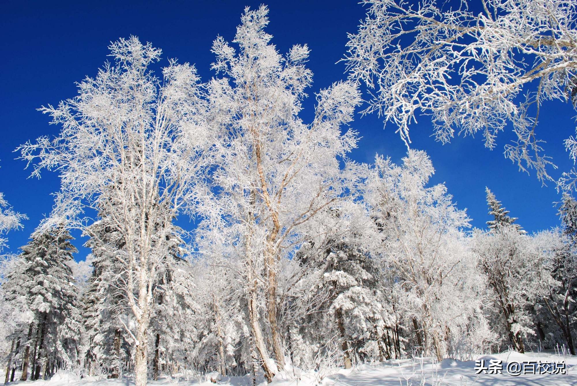 北京航空航天大学VS哈尔滨工业大学备受争议，究竟谁孰强孰弱？