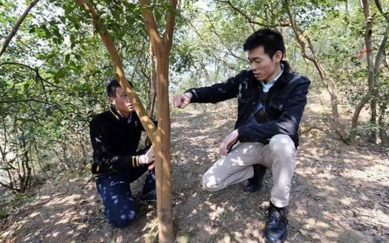 拒绝百万年薪，回国拿1450元工资的耶鲁海归秦玥飞，后来怎样了？