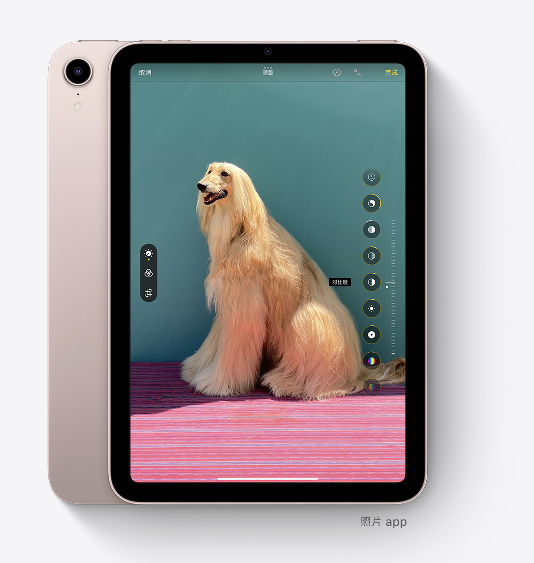 苹果发布会隐藏的黑马ipad mini