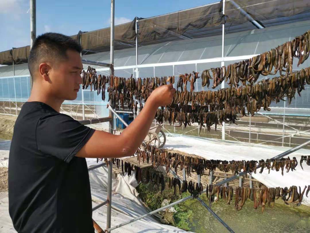 若不小心把水蛭吃进肚子,它会在人体内长期存活,继续吸血吗?