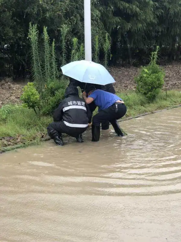 暴雨中的这四个动作，帅