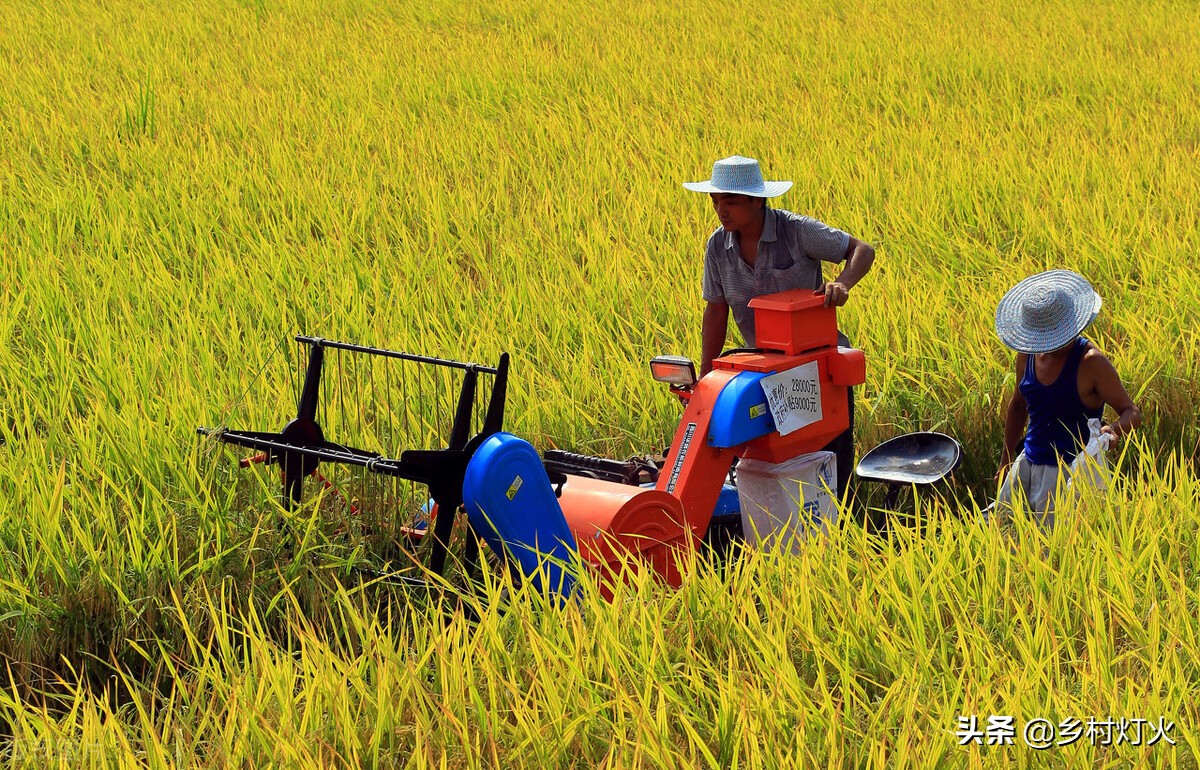 小型农业机械设备有哪些为何山区不使用小型农耕机械